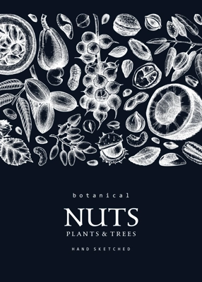 Vector nuts card on chalkboard. Vintage nuts background in sketched style. Healthy food ingredients design template with botanical illustrations. Realistic branches, plants, nutshells sketches.